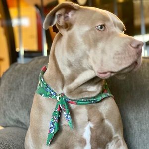 Meet your Posher, Mathew